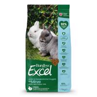 Burgess Excel