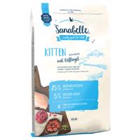 Sanabelle Kitten