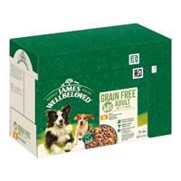 12x90g James Wellbeloved Adult Dog Hypoallergenic pulyka zöldséggel szószban nedves kutyatáp