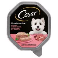 14x150g Cesar Klasszikusok: terrine borjú & szárnyas nedves kutyatáp
