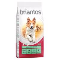 ★ Briantos