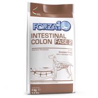 2x4kg Forza 10 Active Line Intestinal Colon Phase 2 száraz kutyatáp