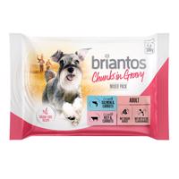 4x100g Briantos nedves kutyatáp tasakos próbacsomag Delicious Paté (lazac & marha)