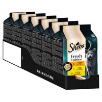 6x50g Sheba Fresh Cuisine Taste of Rome nedves macskatáp vegyesen