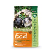 Burgess Excel